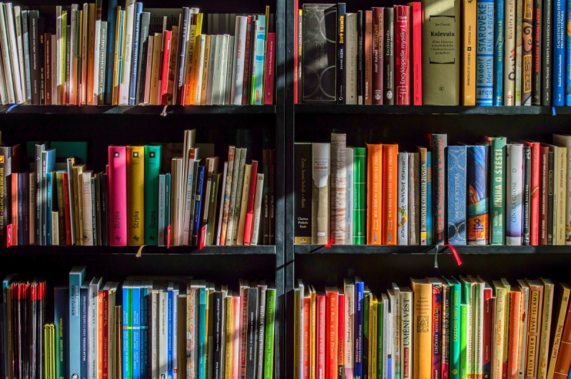 vente-CONTES-min_books_bookstore_book_reading_shop_writer_sale_books_read-822866